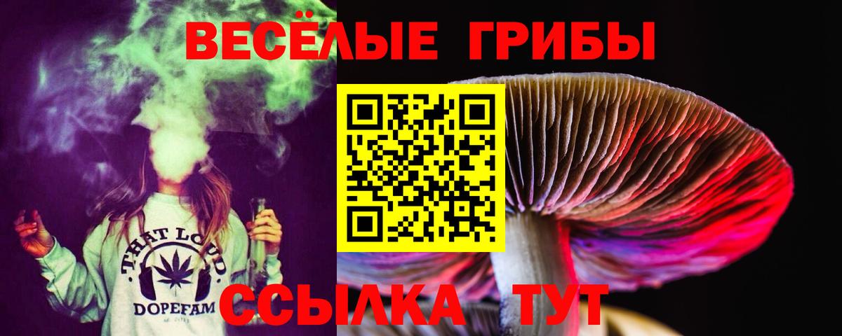 Галлюциногенные грибы мицелий  Вход с VPN  Грязи 